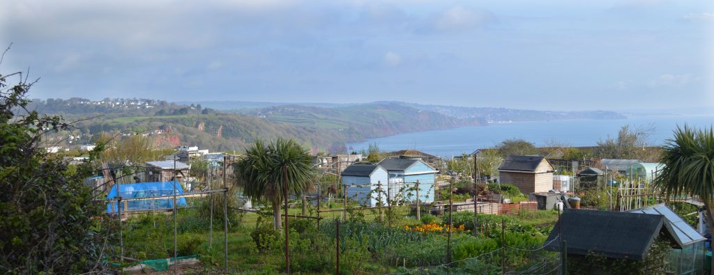 The Quinta Viewpoint Allotment site in Torquay 